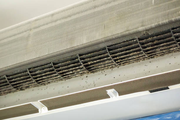 Best HVAC System Cleaning  in Joppatowne, MD